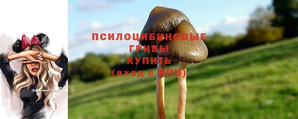 гашик Алексеевка