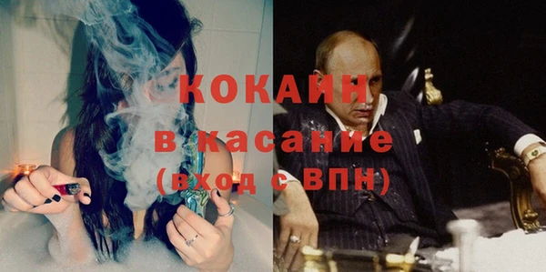 гашик Алексеевка